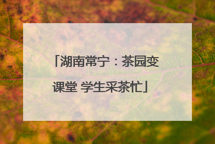湖南常宁：茶园变课堂 学生采茶忙